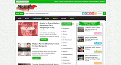 Desktop Screenshot of plat-m.com